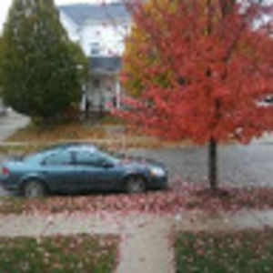 Meet your Posher, Phyllis